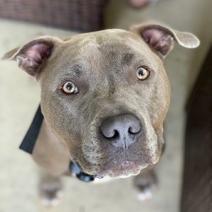 Meet your Posher, Mike